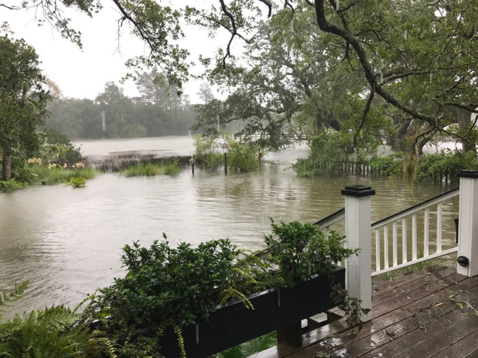 Now is the time to prepare landscapes for hurricane season.