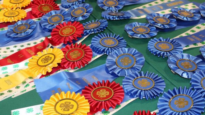 ribbons on table