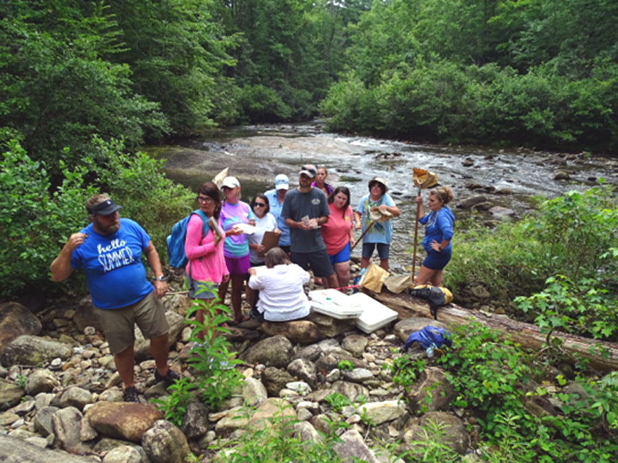 Teachers in the environmental education course search Howard Creek for aquatic insects and assess the water quality.