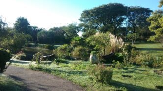 The Cordoba Botanical Gardens in Cordoba, Argentina