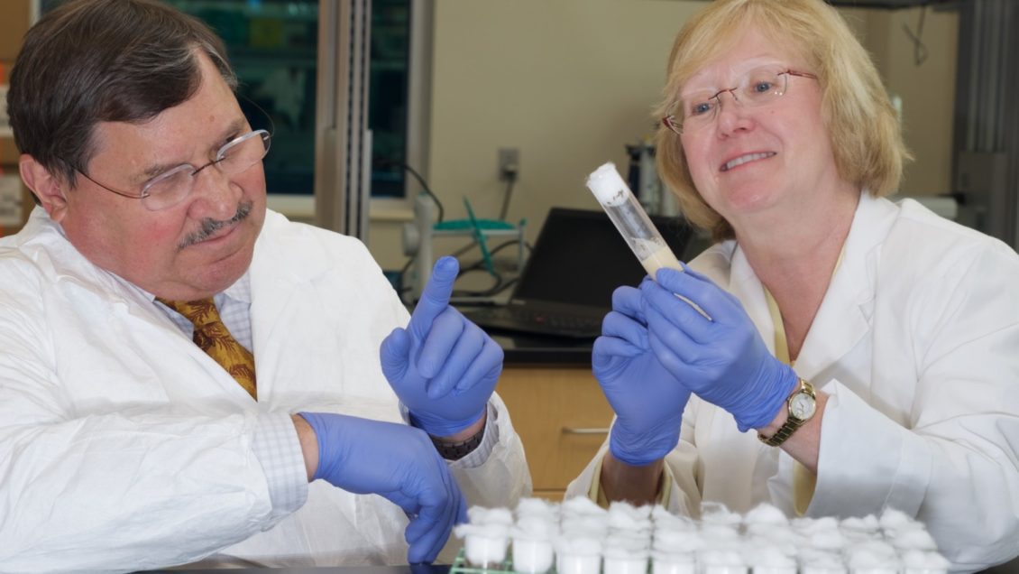 Trudy Mackay and Robert Anholt work with tiny fruit flies to make big discoveries.