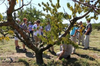 A recent meeting of researchers from across the United States who are looking in to ways to control Armillaria root rot included a visit to Titan Farms in Ridge Spring.