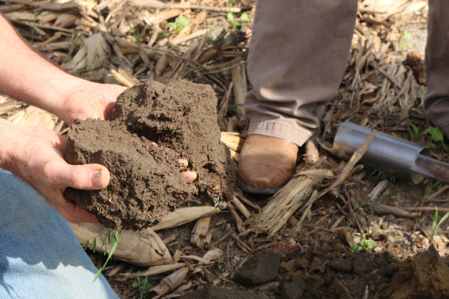 Growing cover crops can help improve soil health.