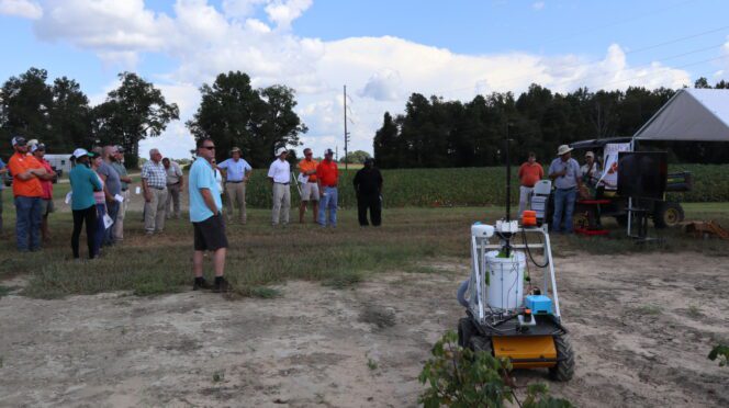 Participants at the 2018 Edisto Research and Education Field Day listen with interest at researcher Joe Mari Maja talks about a UGV cotton harvester he is working to develop.