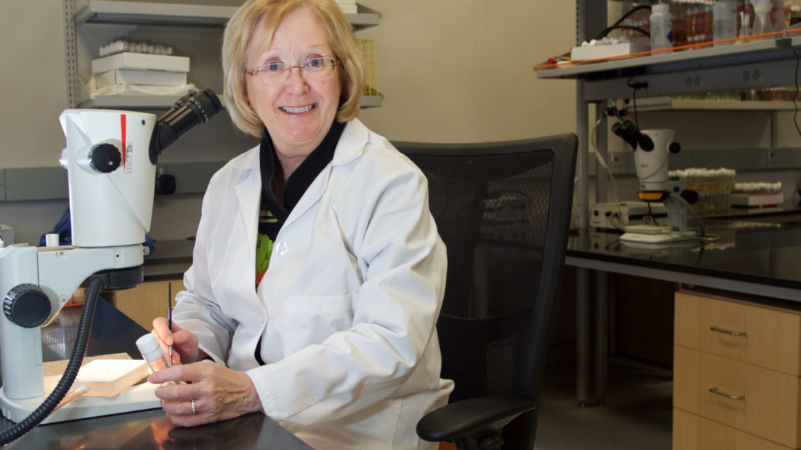 Trudy Mackay is director of Clemson University's Center for Human Genetics.