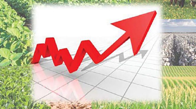 Join Clemson Extension and others for the 2019 AgOutlook Conference, Nov. 16, in Columbia.