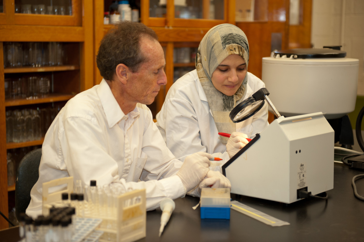 Professor Paul Dawson is seated at a lab table looking at a microscope with one of his graduate students