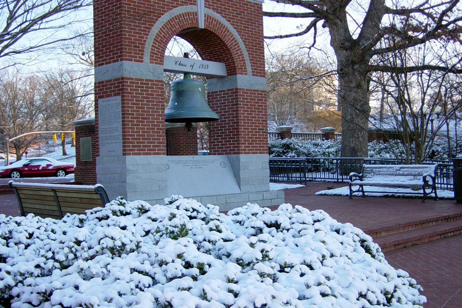 Soft snow covers plants at the Class of '39 Bell in the Carillon Gardens.