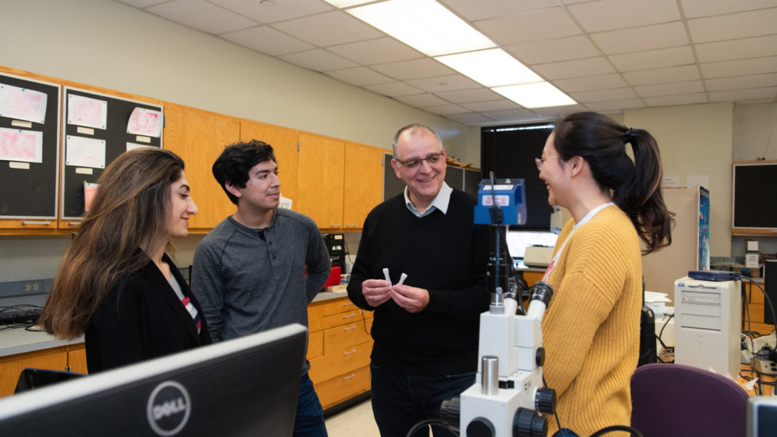 Igor Luzinov, second from right, works with students in his lab at Clemson University. He is the first Kentwool Distinguished Professorship in Natural Fibers.