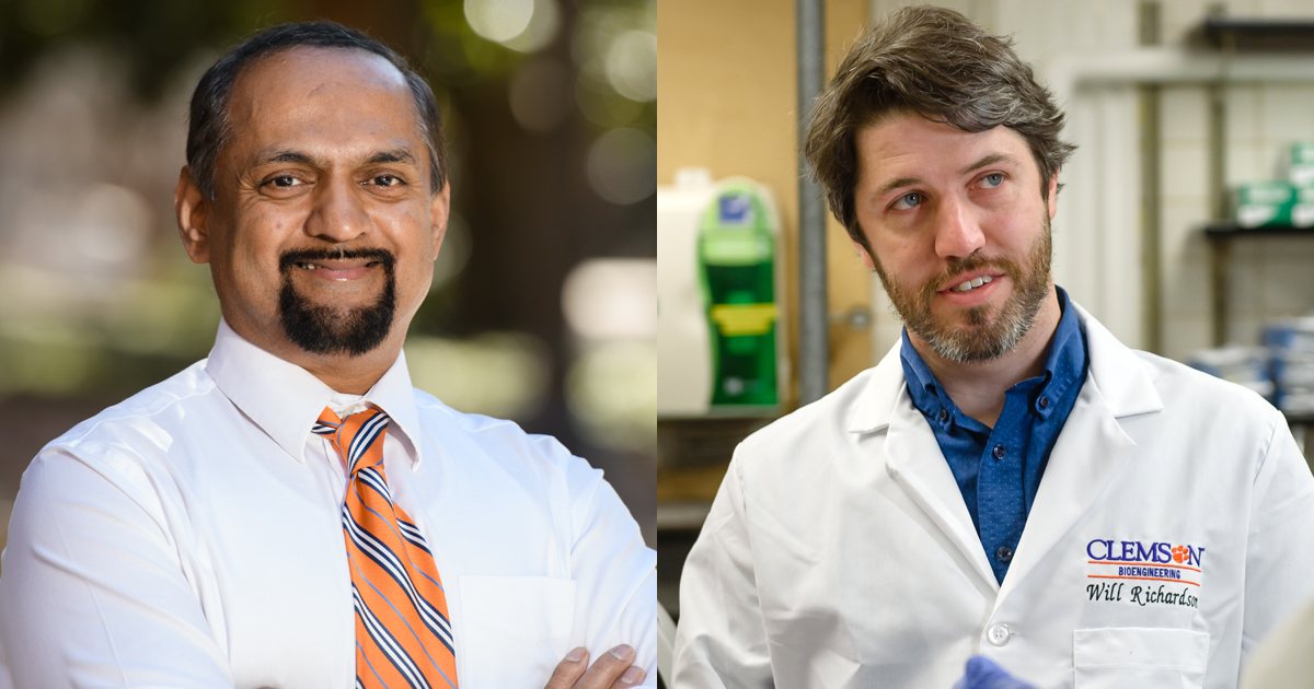 Naren Vyavahare, left, and Will Richardson have each received R01 grants from the National Institutes of Health for heart-related research.