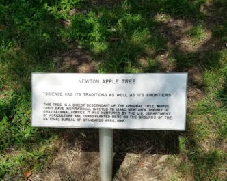 A sign on the grounds of NIST commemorates the clone of a Newton Apple Tree.