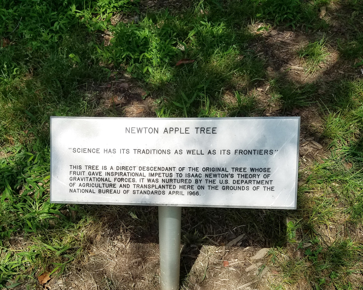 A sign on the grounds of NIST commemorates the clone of a Newton Apple Tree.