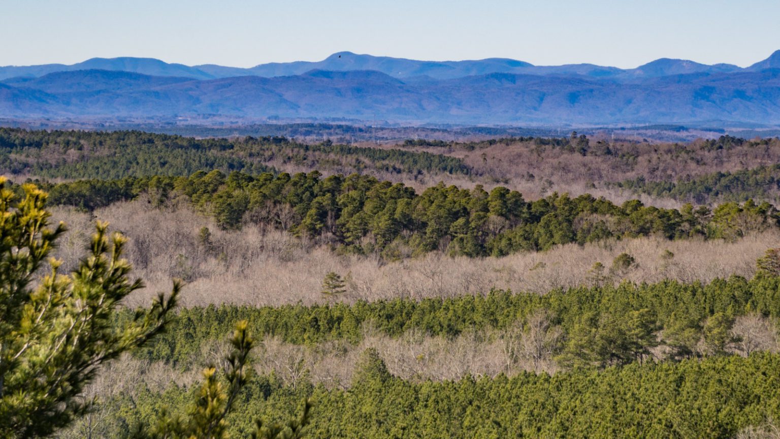 Faculty, students research use, management of 17,000acre Clemson