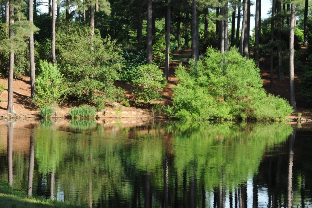 "May 19, 2015 - Botanical Gardens with an emphasis on the Natural Heritage Trail within the Gardens."