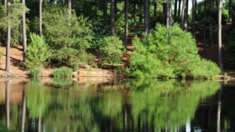 "May 19, 2015 - Botanical Gardens with an emphasis on the Natural Heritage Trail within the Gardens."