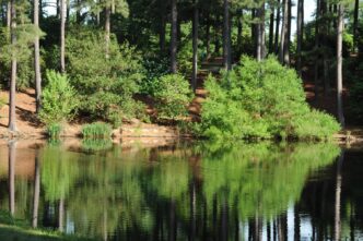 "May 19, 2015 - Botanical Gardens with an emphasis on the Natural Heritage Trail within the Gardens."