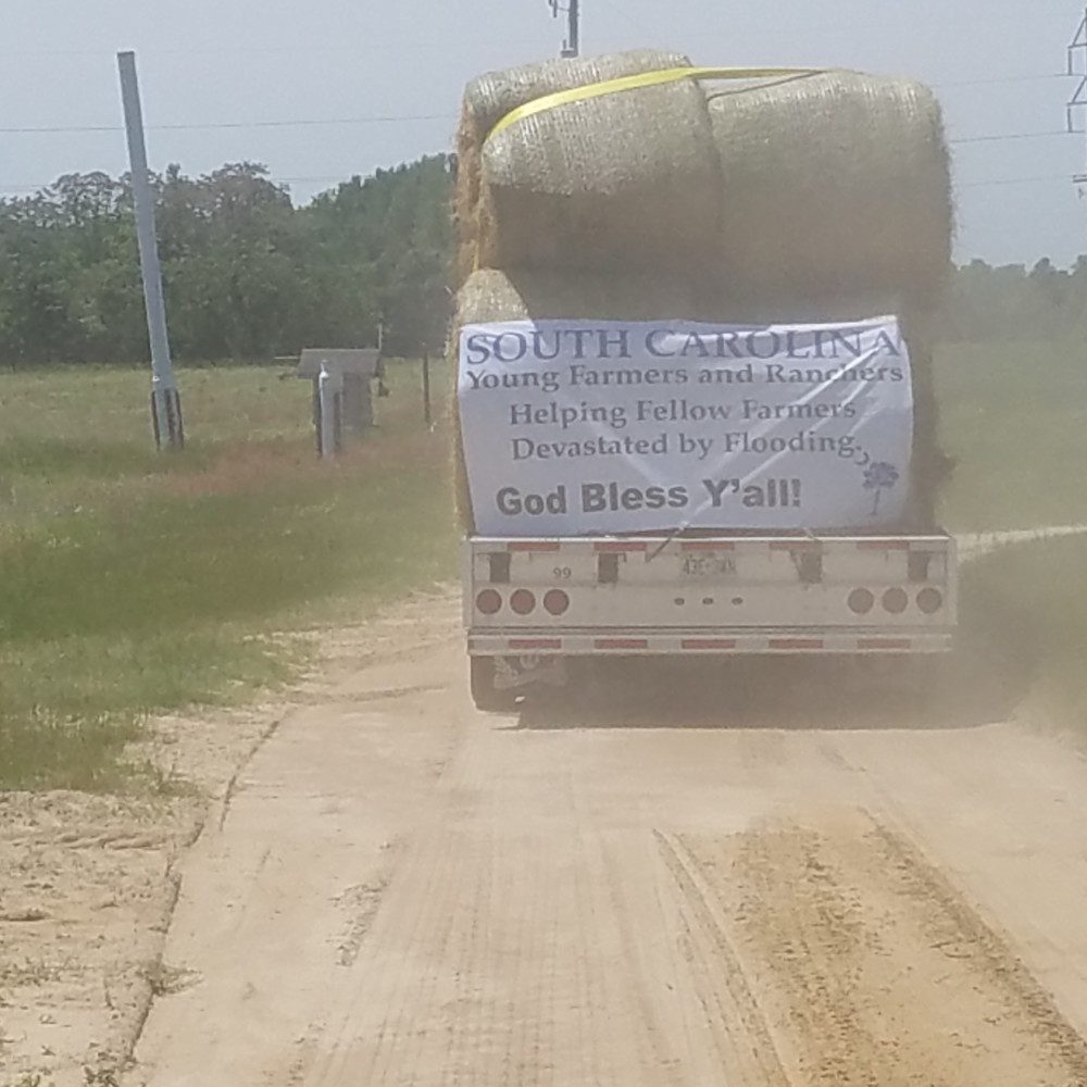 A trailer load of hay leaves Clemson's Edisto Research and Education Center for Nebraska where it will be given to farmers and ranchers who have been hit by devastating floods.