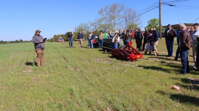 Cody Bishop, farm manager for Clemson's Sandhill REC, explains cover crop mixes that are being grown in the sandy soil of fields at the Center.