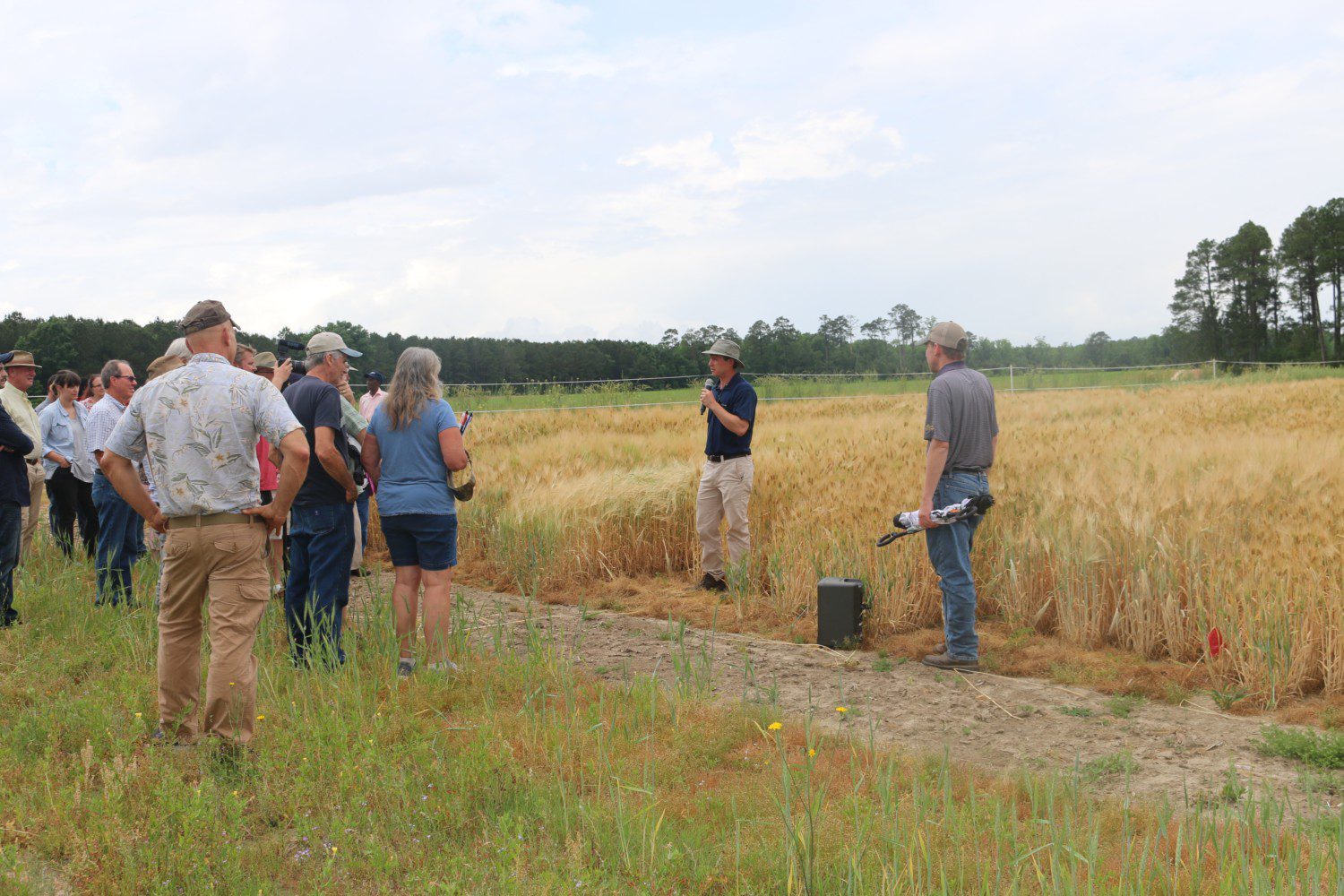 Rick Boyles, a research scientist at Clemson’s Pee Dee Research and Education Center, talks about how a combination of traditional and advanced plant genetic approaches are being used to determine which grain lines are best adapted to South Carolina and the entire southeastern United States.