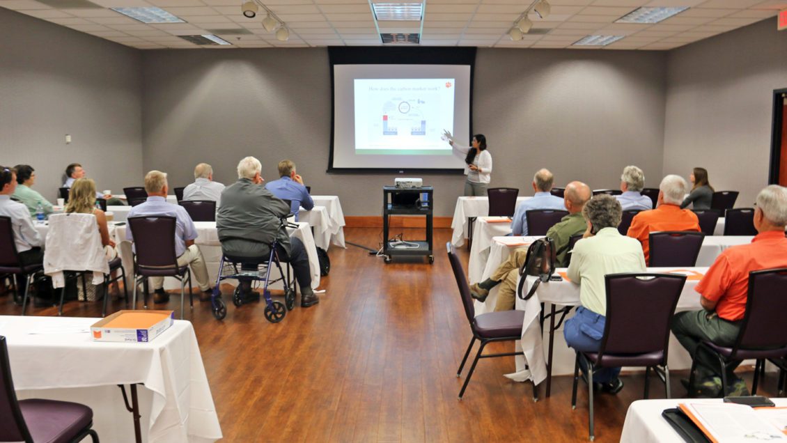 Marzieh Motallebi addresses the audience at the recent Carbon Market for South Carolina workshop.