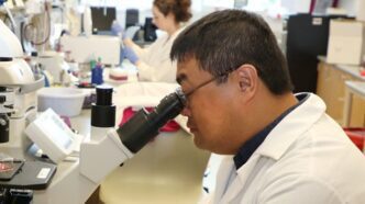 Photo of Dou looking into a microscope