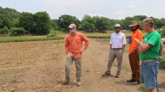 David Robb talks about weed control research being conducted at the Clemson Student Organic Farm.