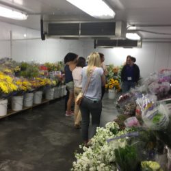 Kristen Simpson, floor manager of Carolina Florist Supply in Anderson shares her experience with STEM it UP! participants as they tour the cut flower cooler.
