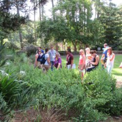 The South Carolina Botanical Gardens provide the perfect scene for teachers to learn about experiential learning opportunities available to teach STEM concepts.