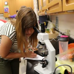 Participants in the 2019 STEM it UP! conference at Clemson University use microscopes to investigate the effects of temperature and pH on cut flowers.