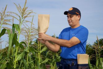 Assistant professor Rajan Sekhon conducts research.