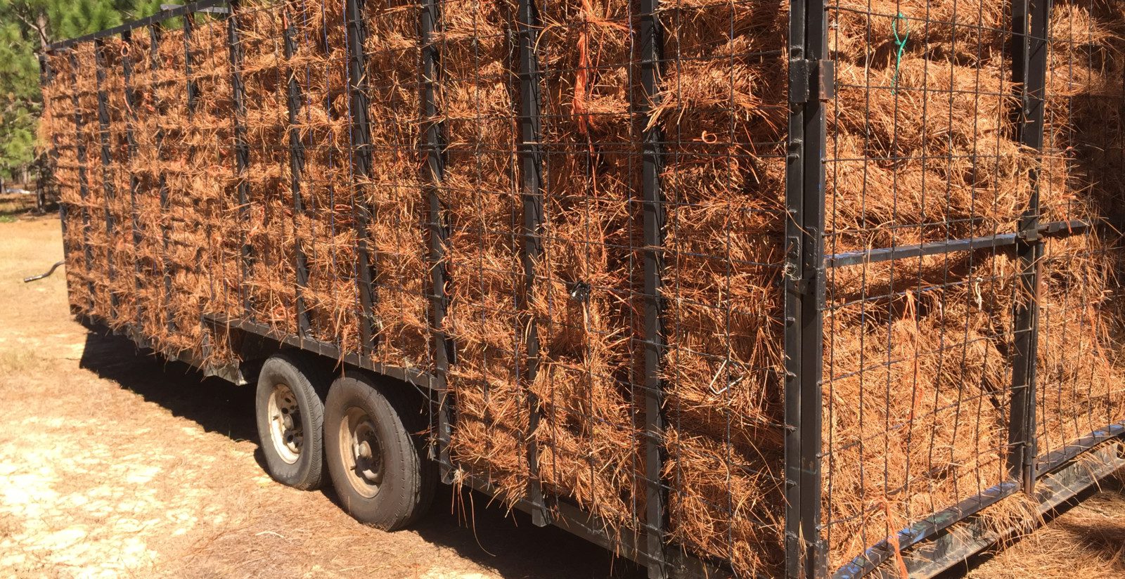 Pine straw bales are loaded into a trailer.