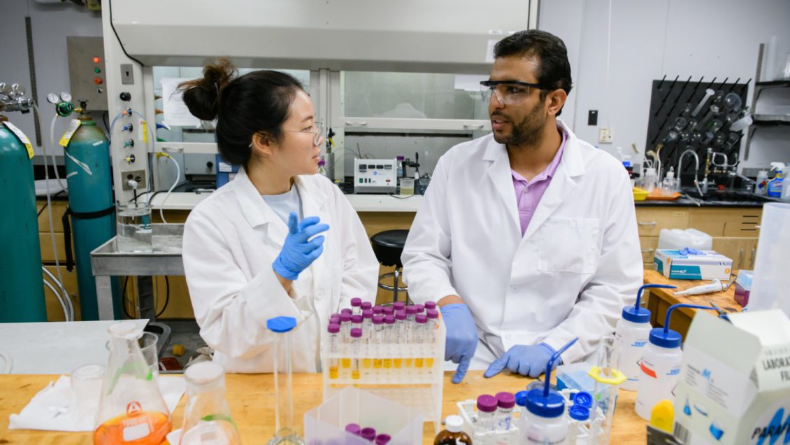 Mohamed Ateia, right, and Weija Yu, a visiting Ph.D. student from the University of Copenhagen, work at L.G. Rich Environmental Laboratory.