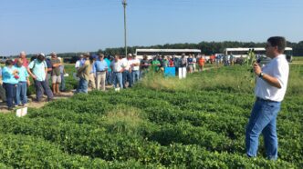 Mike Marshall talks about weeds during Edisto REC Field Day.