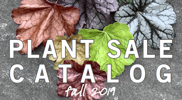 Image from the front of the fall plant sale catalog