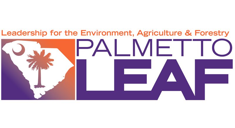 PalmettoLEAF logo