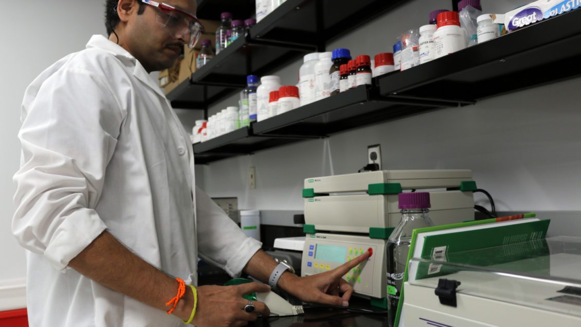 Sachin Rustgi, a molecular biologist at Clemson's Pee Dee REC studies in his lab.