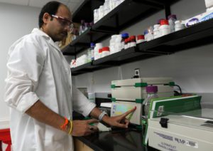 Sachin Rustgi, a molecular biologist at Clemson's Pee Dee REC studies in his lab.