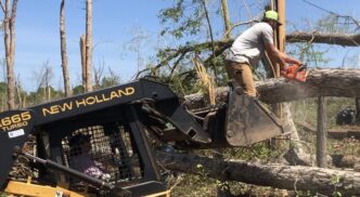 Emory Doppelheuer, business student, sawing downed trees