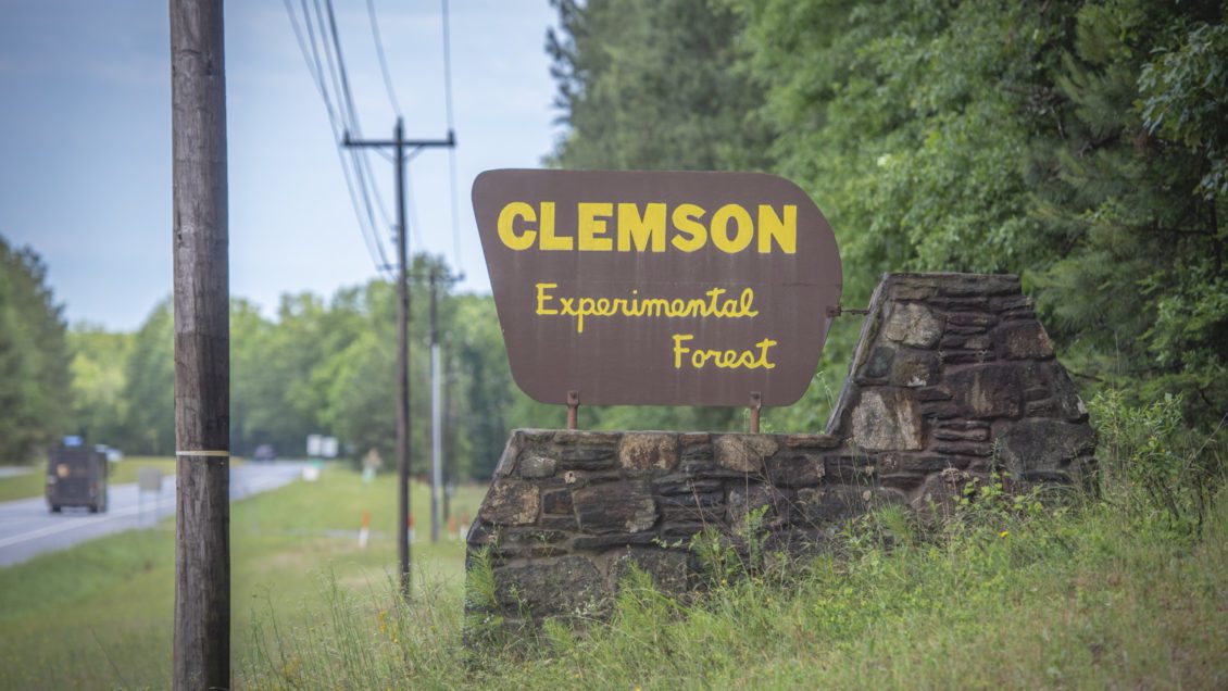 A sign that says "Clemson Experimental Forest" sits in the green grass by the side of a road.