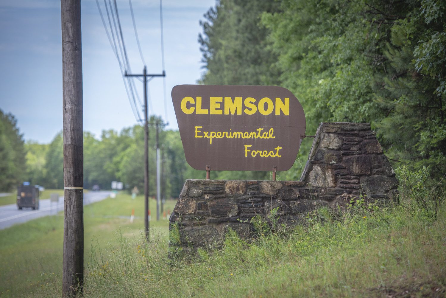A sign that says "Clemson Experimental Forest" sits in the green grass by the side of a road.