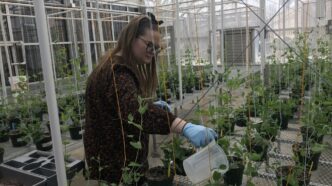 Sarah Powers in Greenhouse