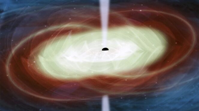 Twin black holes.