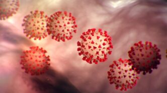 SARS-CoV-2 virus
