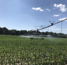 Clemson researchers are researching how to equip overhead irrigation systems with technology to help farmers reduce water, energy and fertilizer use, as well as improve environmental quality and grower sustainability. 