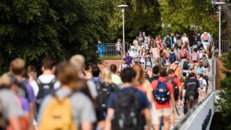 Library bridge students