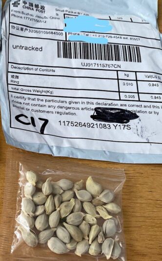 Chinese seed mailing
