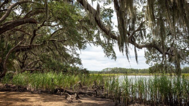 Scenic view of waterways around Edisto Island.