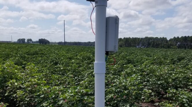 Soil moisture sensor