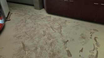 A trail of footprints in a kitchen area covered with fire extinguisher powder.