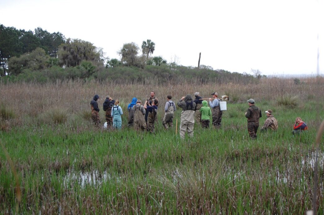 Students study marsh area.
